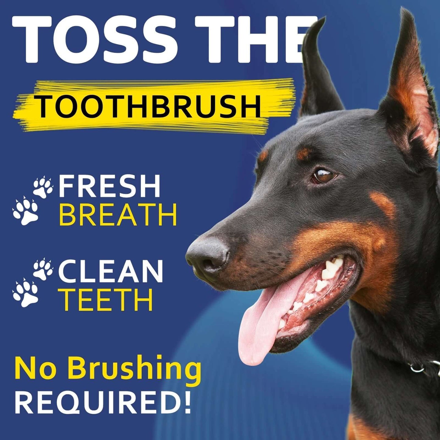 Smile Kit Twist+Lick Brush Free Oral Gel for Dogs