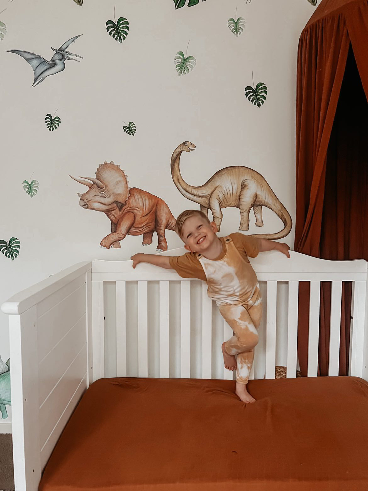 Dinosaurs Wall Decals