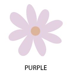 Simple Daisy's