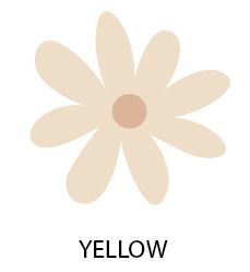 Simple Daisy's