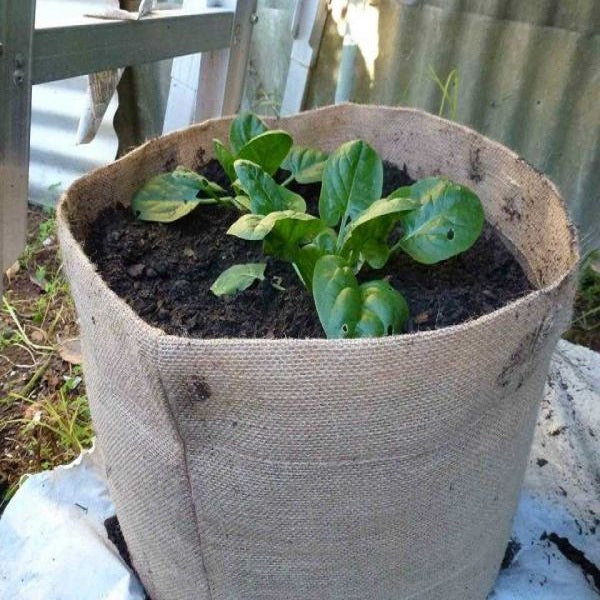 Outdoor Eco Friendly Jute Plant Pots (2.8 Liters)